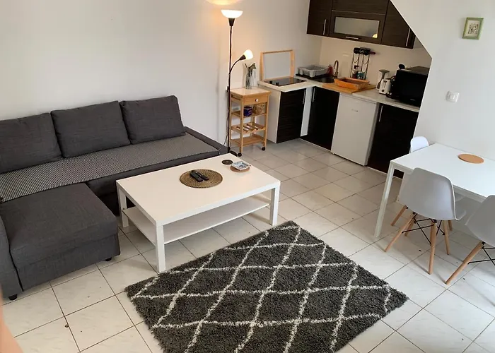 Centre, Pres Avenue De Verdun- Et Casino A 10 Mn A Pied- 4 Personnes -rdc Apartman *