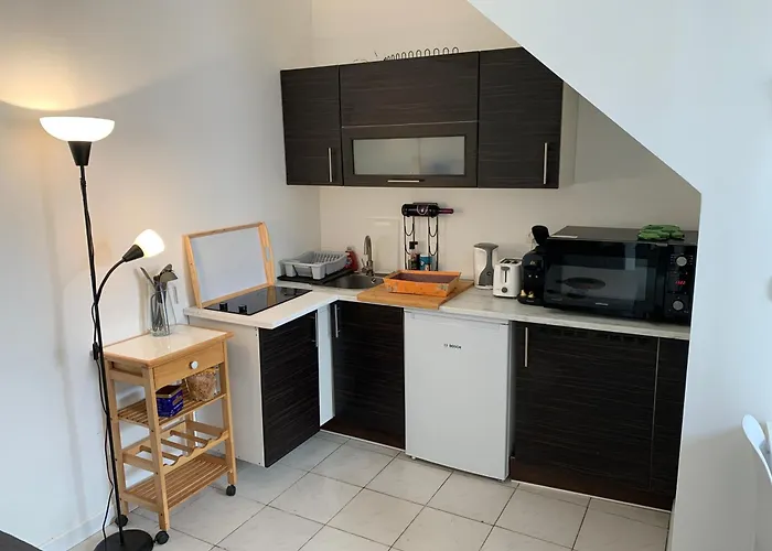 Centre, Pres Avenue De Verdun- Et Casino A 10 Mn A Pied- 4 Personnes -rdc Biarritz